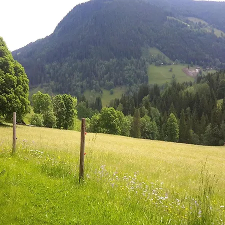 Near Area In Schladming Apartment *