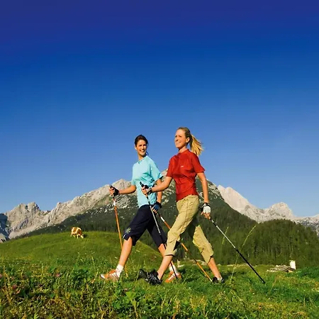 Near Area In Schladming *