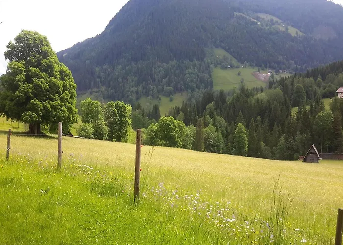 Near Area In Schladming Apartment *