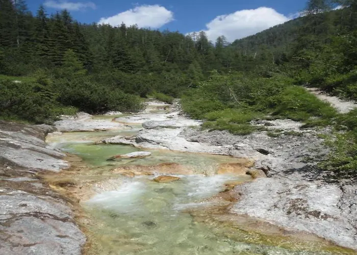 Near Area In Schladming * Maistatt