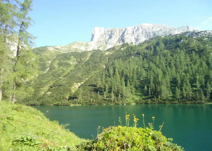 Near Area In Schladming *